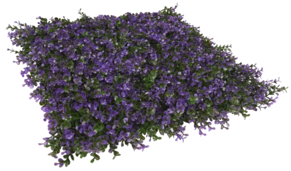 34058_LAVANDA-e1697801402746-600x352